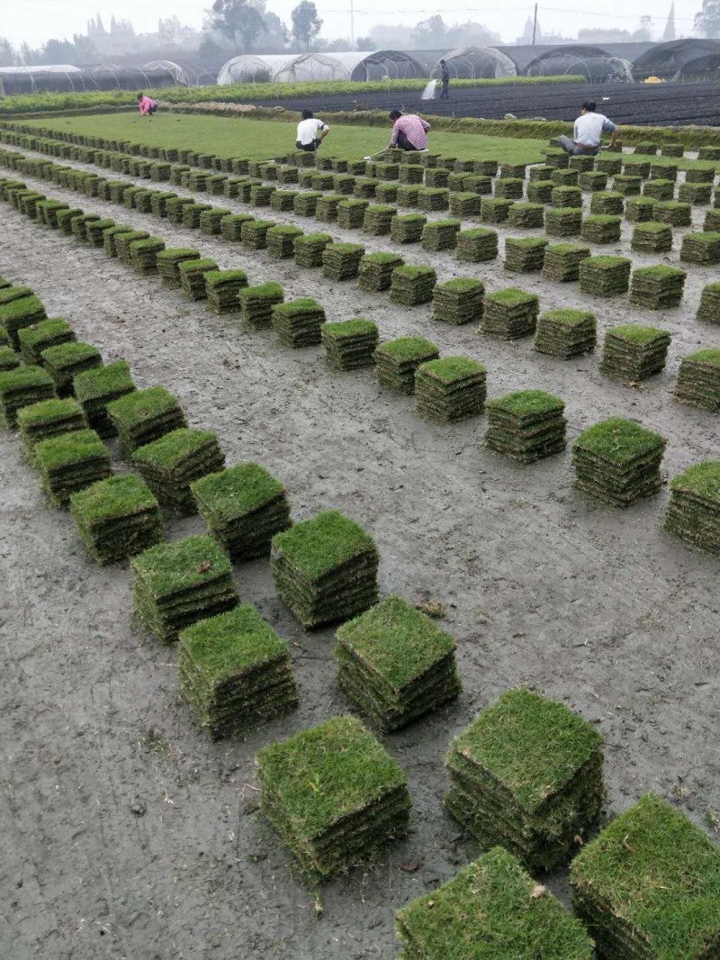 微信图片_20190401192837