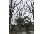 科创园林