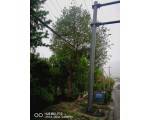 高氏园林