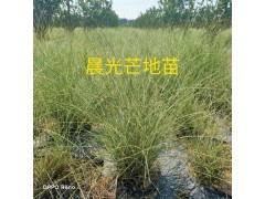 胥家园艺场