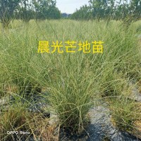 胥家园艺场