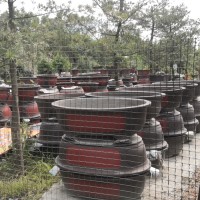 代记水泥花盆