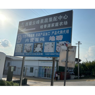 周转框出租